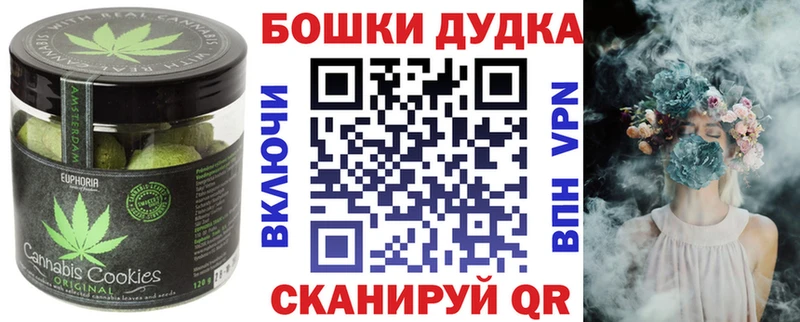 Купить закладки  Минеральные Воды  Canna-Cookies конопля 