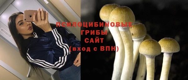 дмт Балабаново