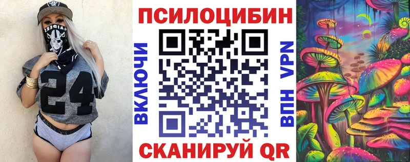 Псилоцибиновые грибы Psilocybine cubensis  Купить где  Минеральные Воды 