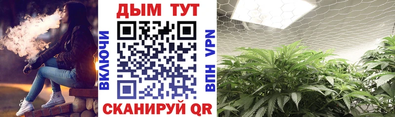 Каннабис THC 21%  Купить закладки  Минеральные Воды 